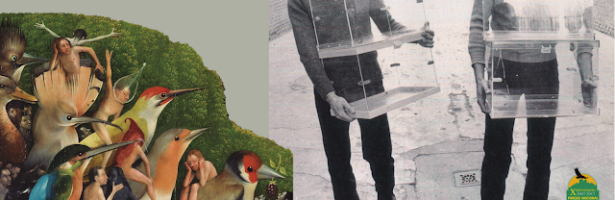 Exposición: «La Naturaleza en Transición, del lienzo al documento».