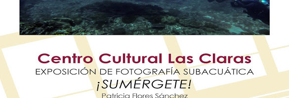 Exposición de fotografía subacuática ¡Sumérgete!