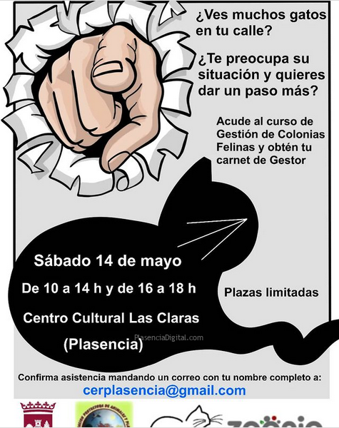 Curso gestión de colonias felinas Plasencia