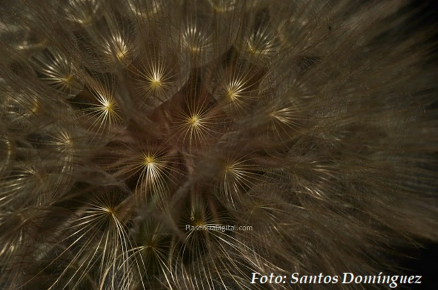 Exposición PlasenciaFoto 2023