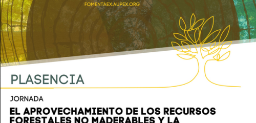  Jornada El aprovechamiento de los recursos forestales no maderables y la...