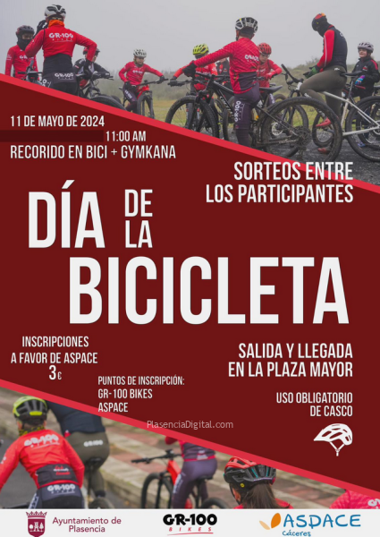 Día de la bicicleta