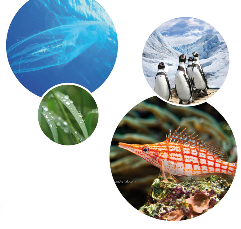 Exposición Biodiversidad de Ciudad Ciencia en Plasencia