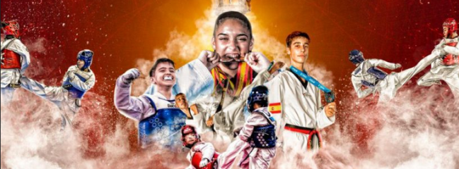 VIII Open Internacional de Taekwondo Ciudad de Plasencia