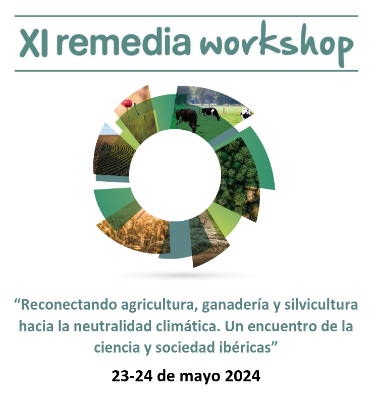 XI remedia Workshop Plasencia