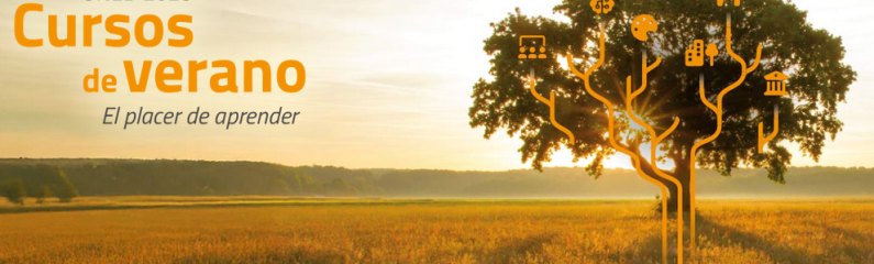 Cursos de verano de la UNED