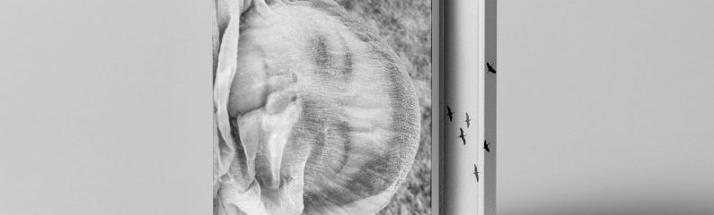 Presentación de Disparatavus