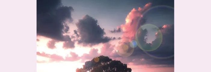 Presentación de «Marisa Prudencio: Camino hacia la utopía»