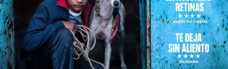 Proyección de «Ciudad sin sueño»