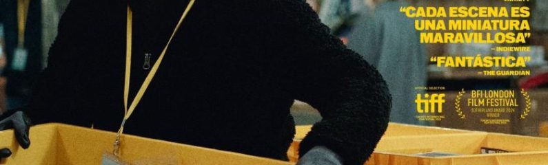 Proyección «On falling»