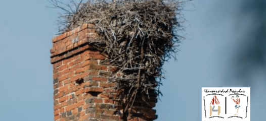 Cursos Universidad Popular