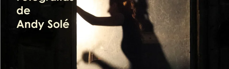 Exposición «Miradas»