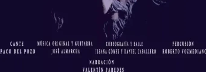 Musical flamenco «La pasión»