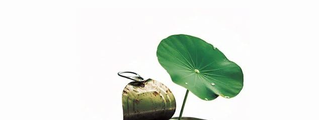 Presentación del libro «Continuación de la pureza»