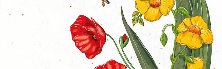 Presentación «El Sol del lobu»