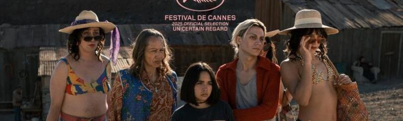 Proyección de «La misteriosa mirada del flamenco»