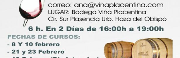 Ciclo de cursos de cata de vinos