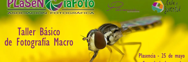 Taller de fotografía Macro