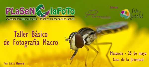 2013-plasencia-foto-taller-macro