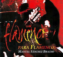 Presentación del libro ‘Flamenco para flamencos’