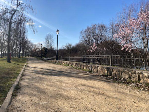 Parque de El Cachón, Plasencia