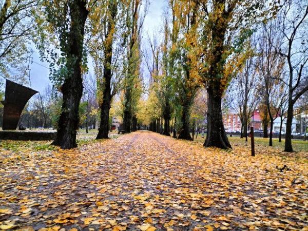 Parque de La Isla en otoño, con escultura a la izquierda.