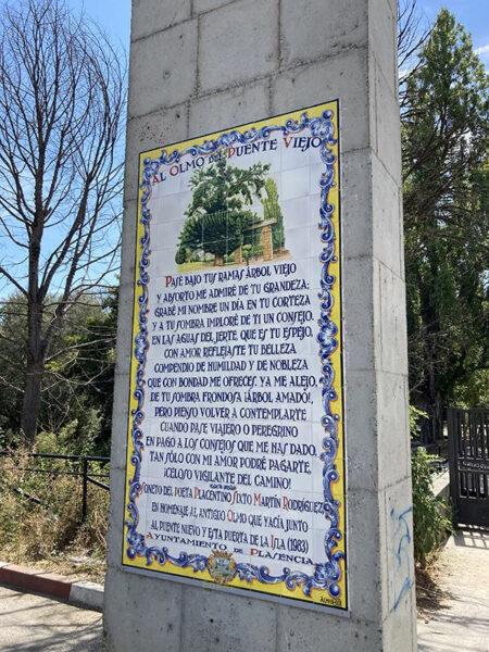 Homenaje al Olmo del Puente Viejo 