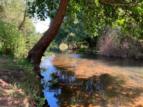 Río Jerte a su paso por el parque de La Isla de Plasencia