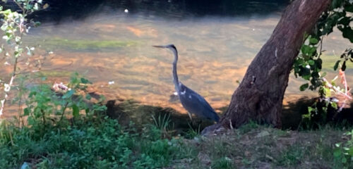 Parque de La Isla Plasencia