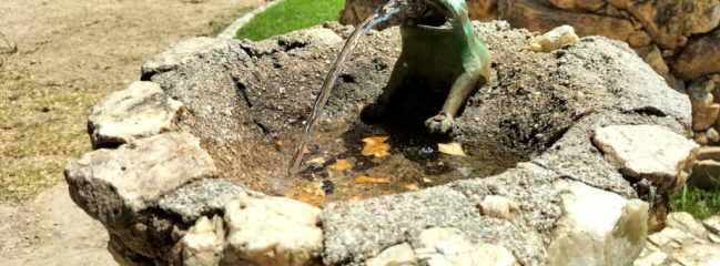 Parque de los caídos (La rana)