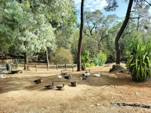 Parque Los Pinos Plasencia