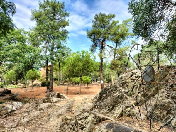 Parque Los Pinos Plasencia