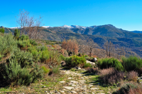 Valle del Ambroz